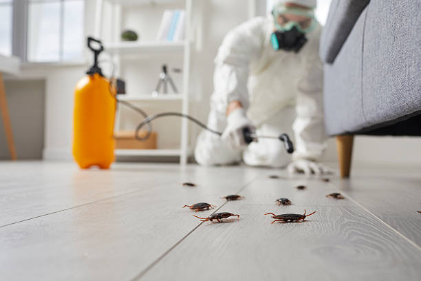 Commercial Kitchen Cockroach Control in Chula Vista